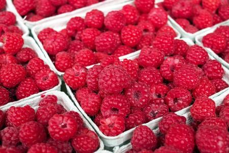 Framboise rouge